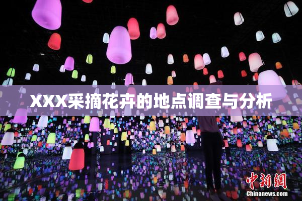 XXX采摘花卉的地点调查与分析