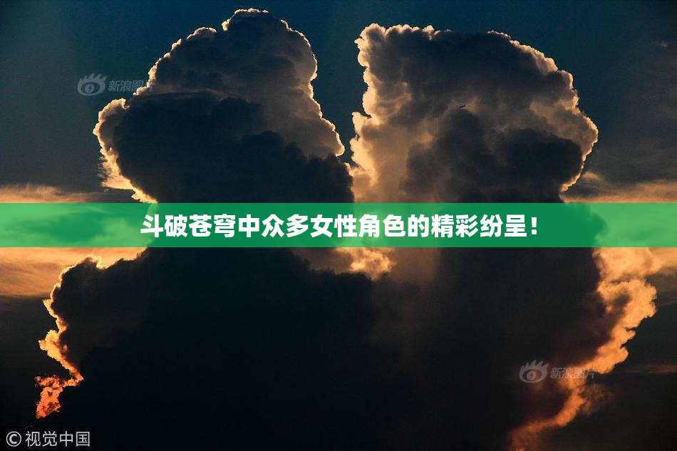 斗破苍穹中众多女性角色的精彩纷呈！