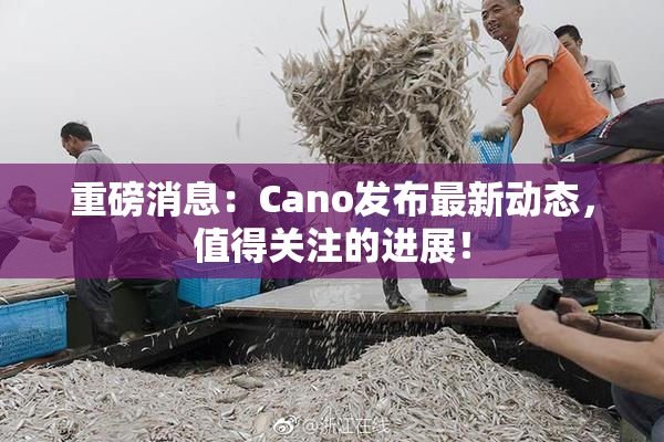 重磅消息：Cano发布最新动态，值得关注的进展！
