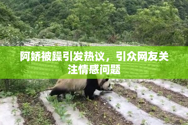 阿娇被躁引发热议，引众网友关注情感问题