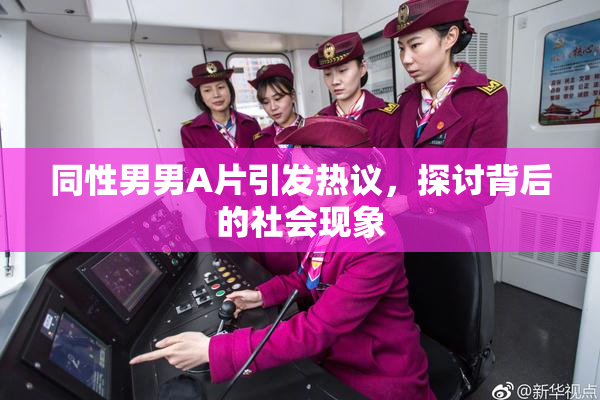 同性男男A片引发热议，探讨背后的社会现象