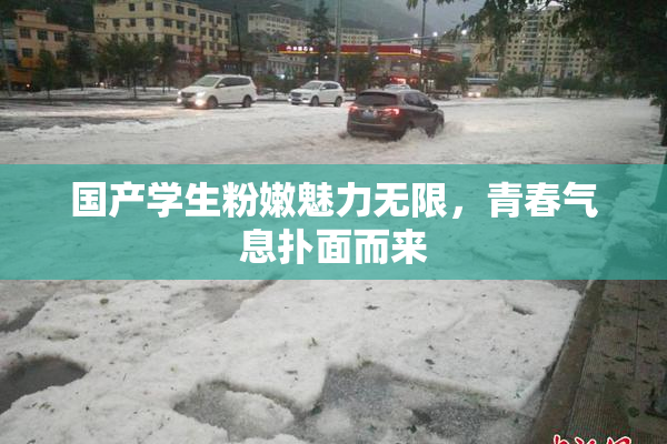 国产学生粉嫩魅力无限，青春气息扑面而来