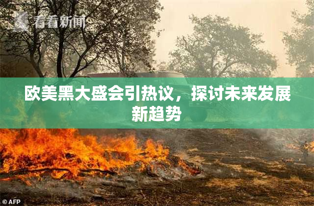 欧美黑大盛会引热议，探讨未来发展新趋势