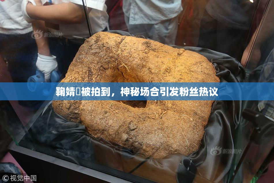 鞠婧祎被拍到，神秘场合引发粉丝热议