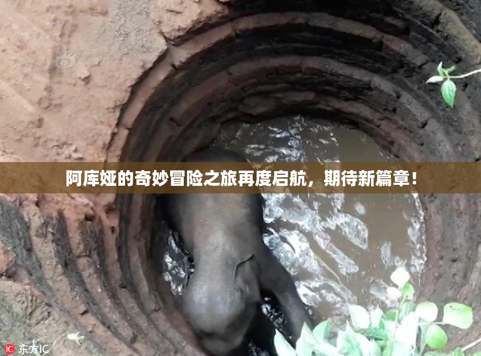 阿库娅的奇妙冒险之旅再度启航，期待新篇章！
