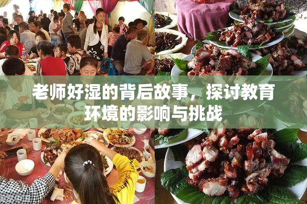 老师好湿的背后故事，探讨教育环境的影响与挑战