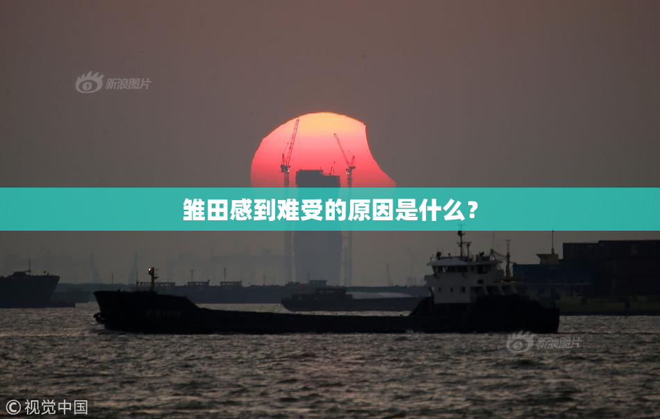 雏田感到难受的原因是什么？