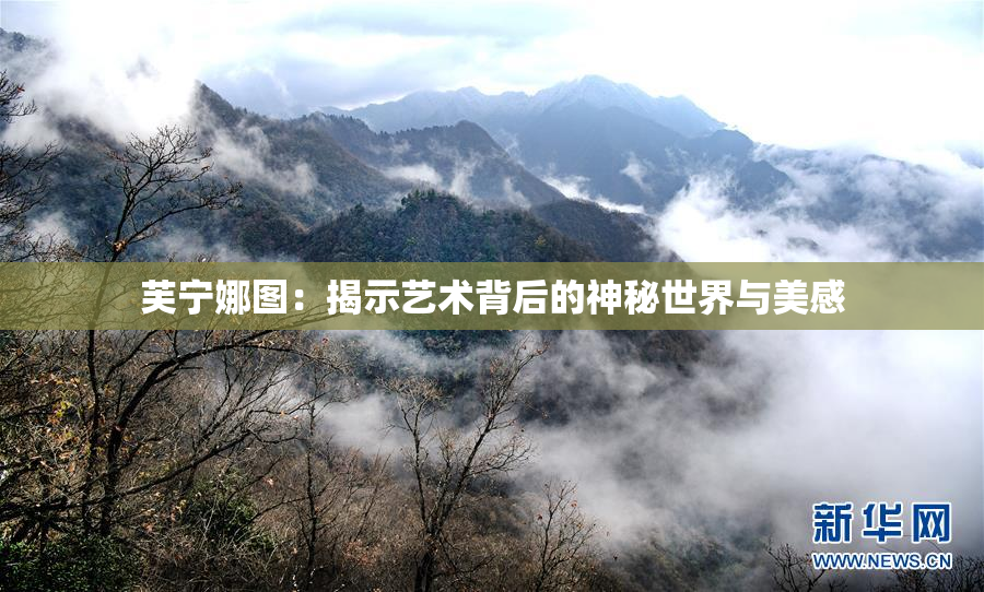 芙宁娜图：揭示艺术背后的神秘世界与美感