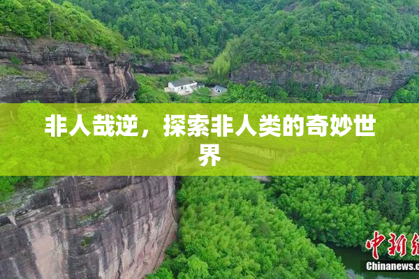 非人哉逆，探索非人类的奇妙世界