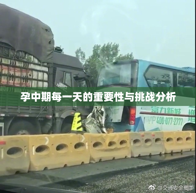 孕中期每一天的重要性与挑战分析