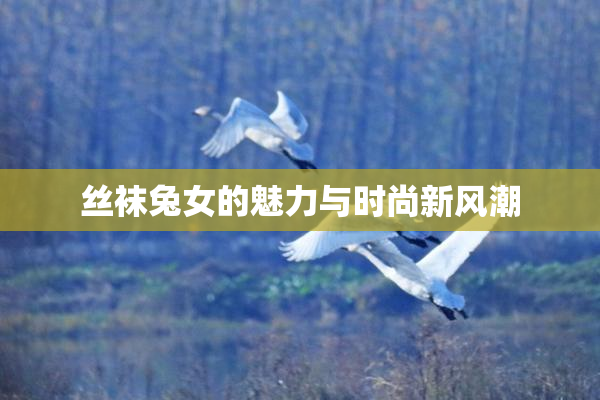 丝袜兔女的魅力与时尚新风潮
