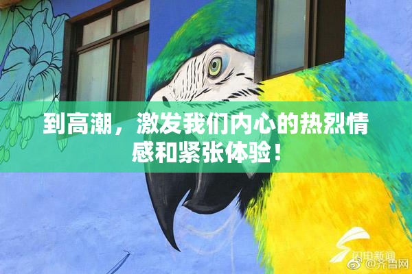 到高潮，激发我们内心的热烈情感和紧张体验！