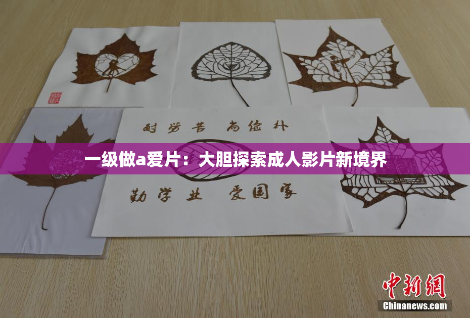 一级做a爱片：大胆探索成人影片新境界