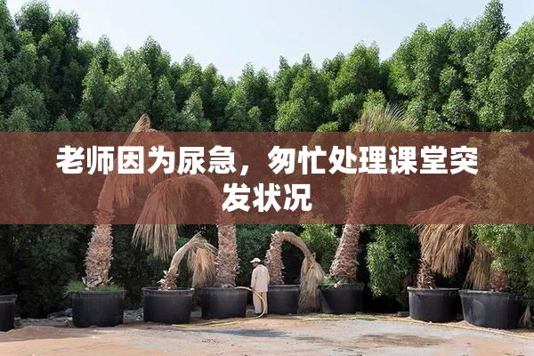 老师因为尿急，匆忙处理课堂突发状况