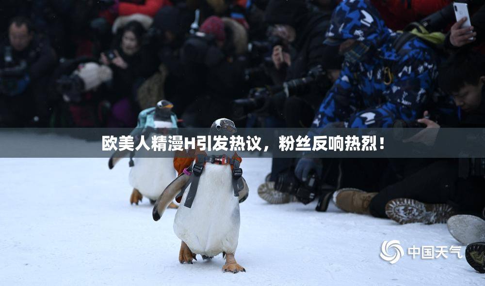 欧美人精漫H引发热议，粉丝反响热烈！