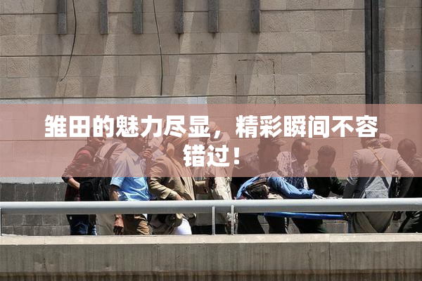 雏田的魅力尽显，精彩瞬间不容错过！