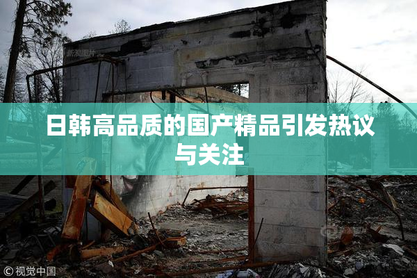 日韩高品质的国产精品引发热议与关注