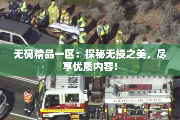无码精品一区：探秘无损之美，尽享优质内容！
