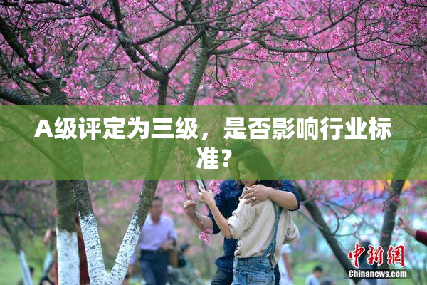 A级评定为三级，是否影响行业标准？