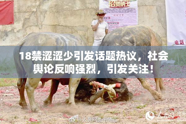 18禁涩涩少引发话题热议，社会舆论反响强烈，引发关注！