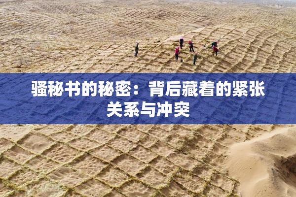 骚秘书的秘密：背后藏着的紧张关系与冲突