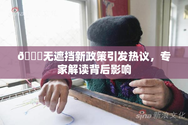 🔞无遮挡新政策引发热议，专家解读背后影响