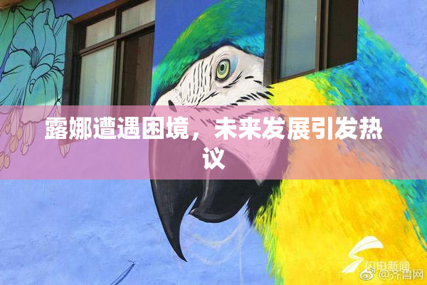 露娜遭遇困境，未来发展引发热议