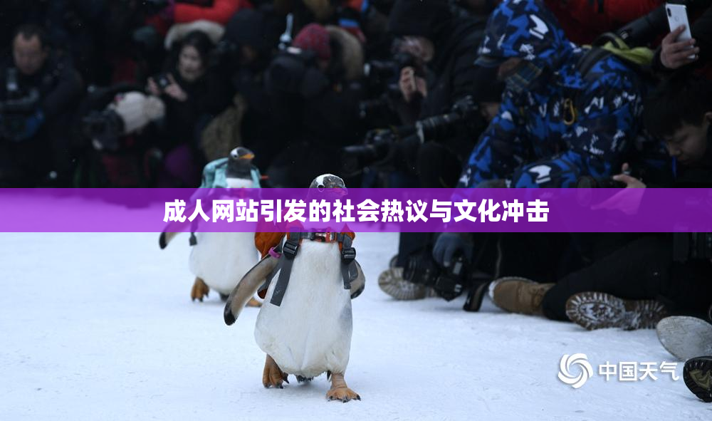 成人网站引发的社会热议与文化冲击