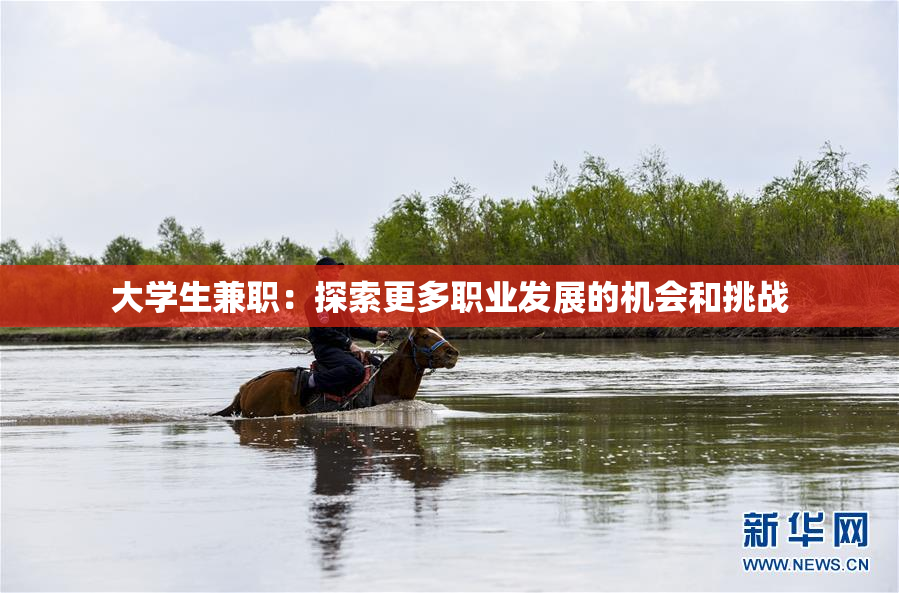 大学生兼职：探索更多职业发展的机会和挑战