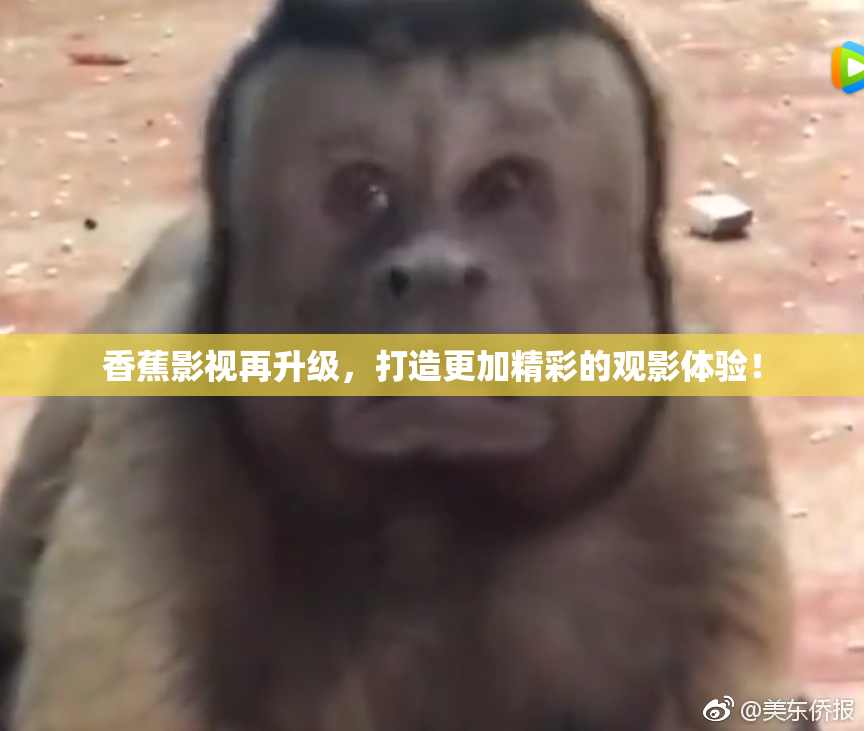 香蕉影视再升级，打造更加精彩的观影体验！