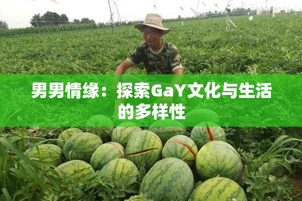 男男情缘：探索GaY文化与生活的多样性