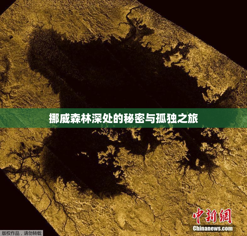 挪威森林深处的秘密与孤独之旅