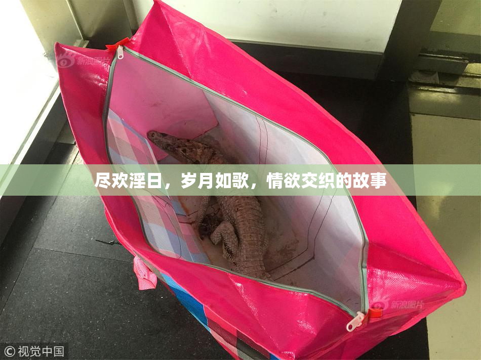 尽欢淫日，岁月如歌，情欲交织的故事