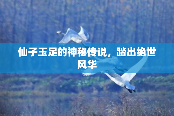 仙子玉足的神秘传说，踏出绝世风华