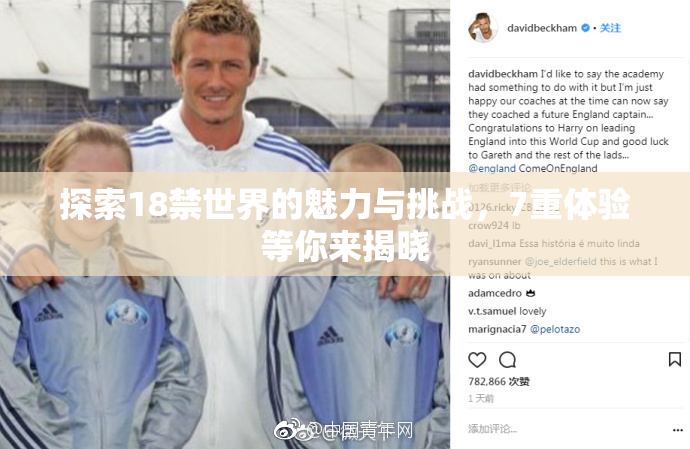 探索18禁世界的魅力与挑战，7重体验等你来揭晓