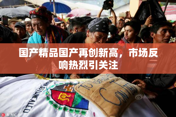 国产精品国产再创新高，市场反响热烈引关注