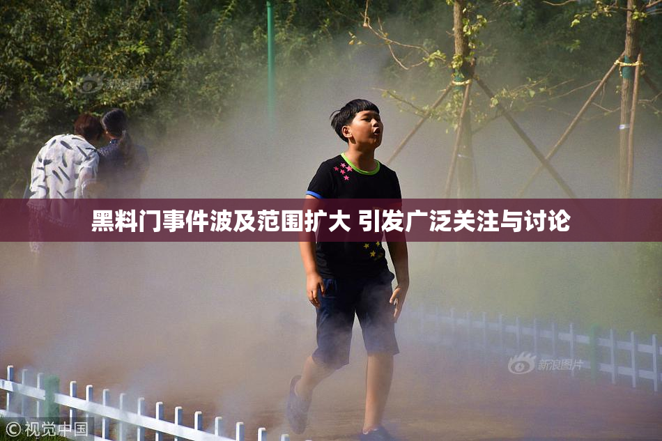黑料门事件波及范围扩大 引发广泛关注与讨论