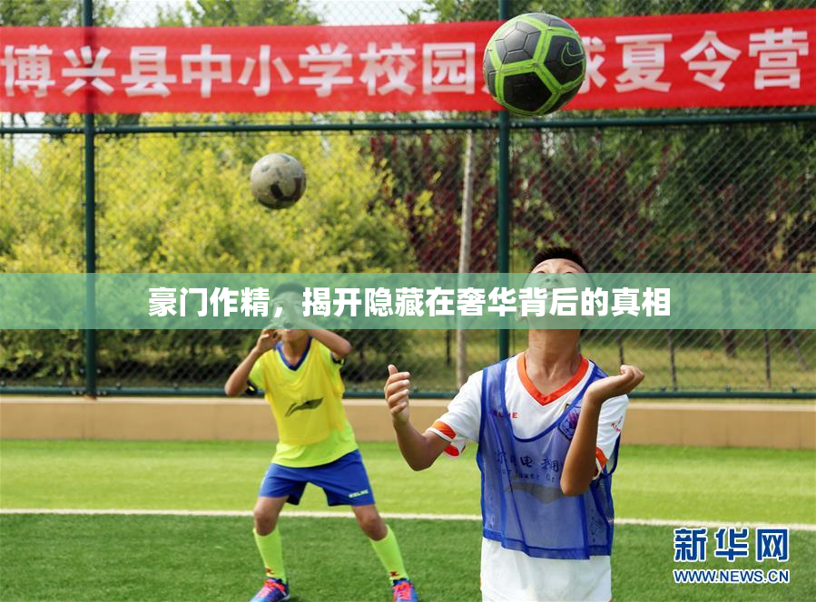 豪门作精，揭开隐藏在奢华背后的真相