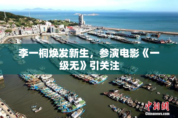 李一桐焕发新生，参演电影《一级无》引关注