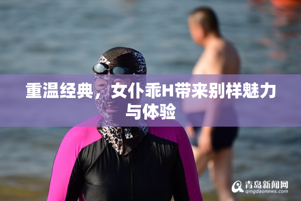 重温经典，女仆乖H带来别样魅力与体验