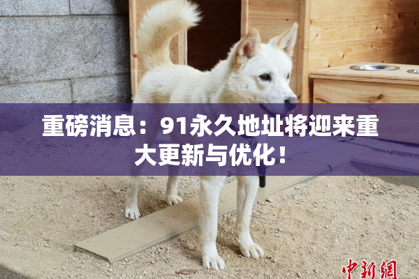 重磅消息：91永久地址将迎来重大更新与优化！