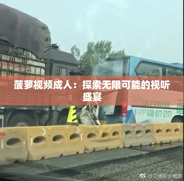 菠萝视频成人：探索无限可能的视听盛宴