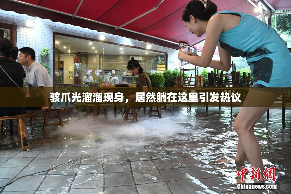 骇爪光溜溜现身，居然躺在这里引发热议