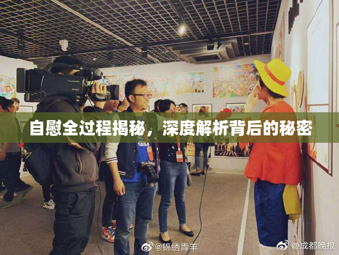自慰全过程揭秘，深度解析背后的秘密