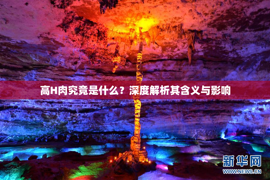 高H肉究竟是什么？深度解析其含义与影响