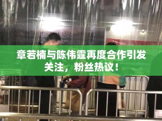 章若楠与陈伟霆再度合作引发关注，粉丝热议！