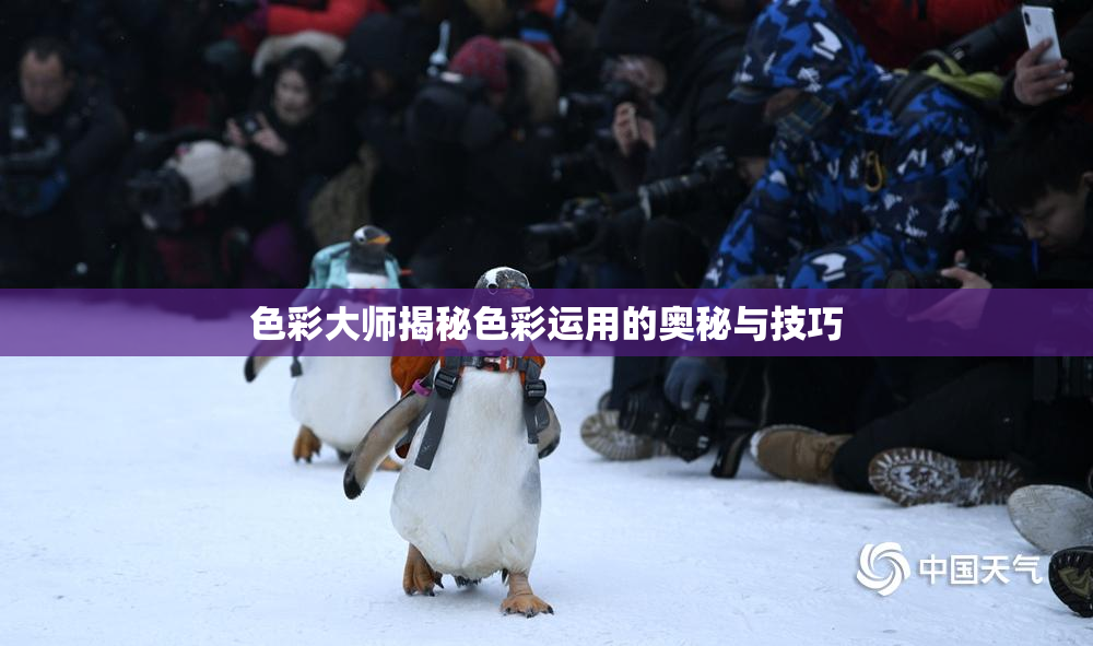 色彩大师揭秘色彩运用的奥秘与技巧