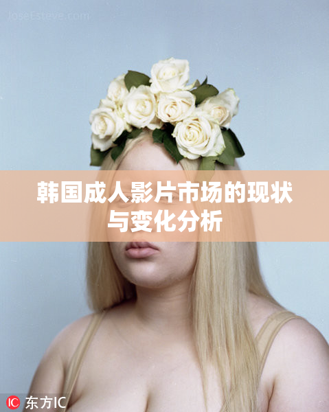 韩国成人影片市场的现状与变化分析