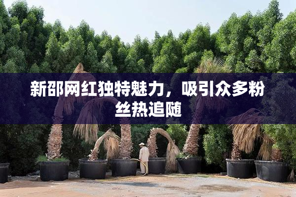 新邵网红独特魅力，吸引众多粉丝热追随