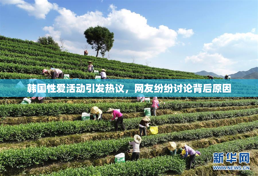 韩国性爱活动引发热议，网友纷纷讨论背后原因